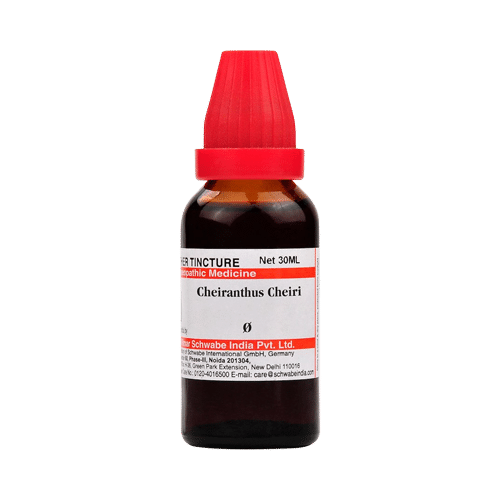Dr Willmar Schwabe India Cheiranthus Cheiri Mother Tincture Q