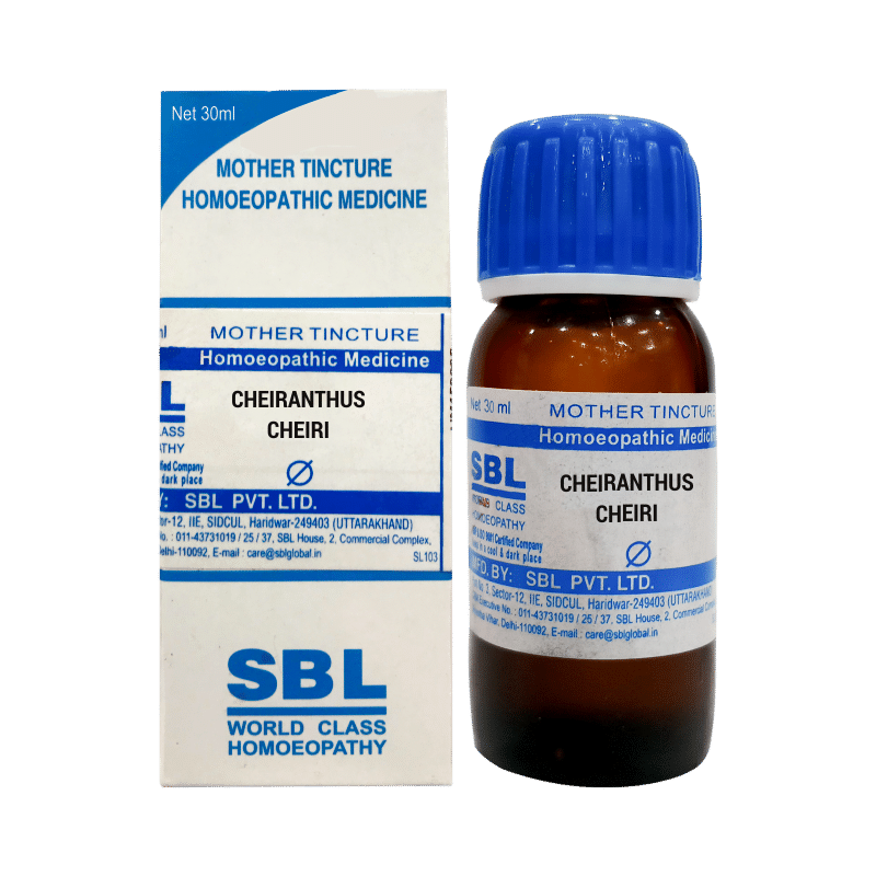 SBL Cheiranthus Cheiri Mother Tincture Q