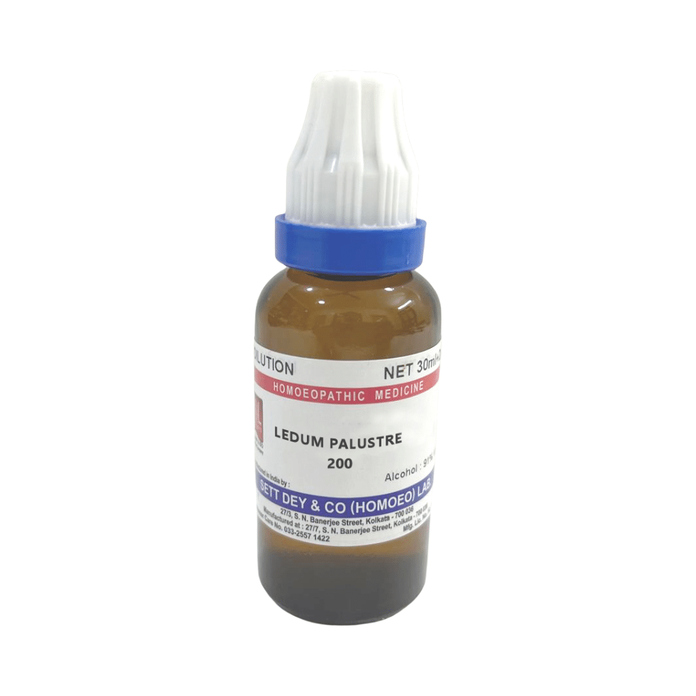 Sett Dey Ledum Palustre Dilution 200