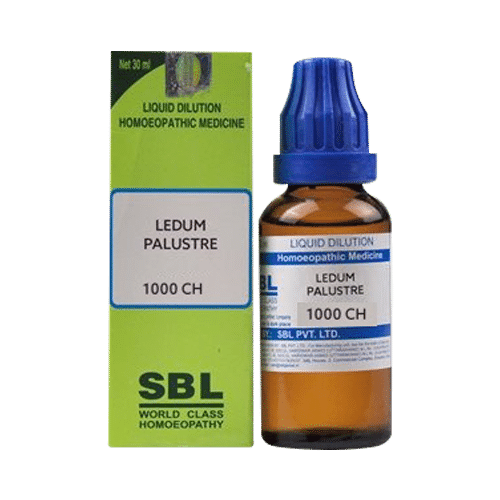 SBL Ledum Palustre Dilution 1000 CH