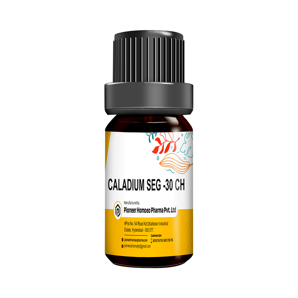 Pioneer Pharma Caladium Seg Globules Pellet Multidose Pills 200 CH