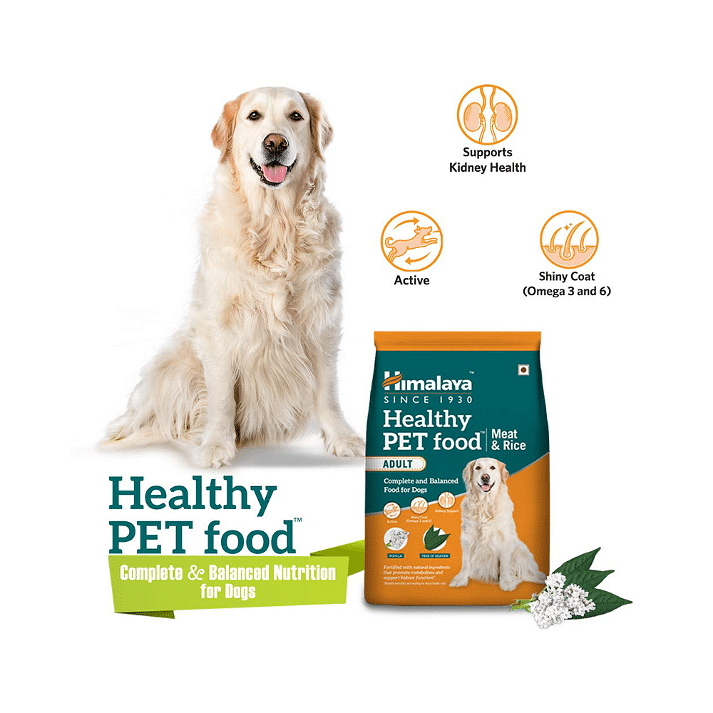 Himalaya Healthy Pet Food for Adult Dogs With Omega 3 6 for Shiny Coat Kidney Support Energy Meat Rice 30 Minutes 24 7 Delivery