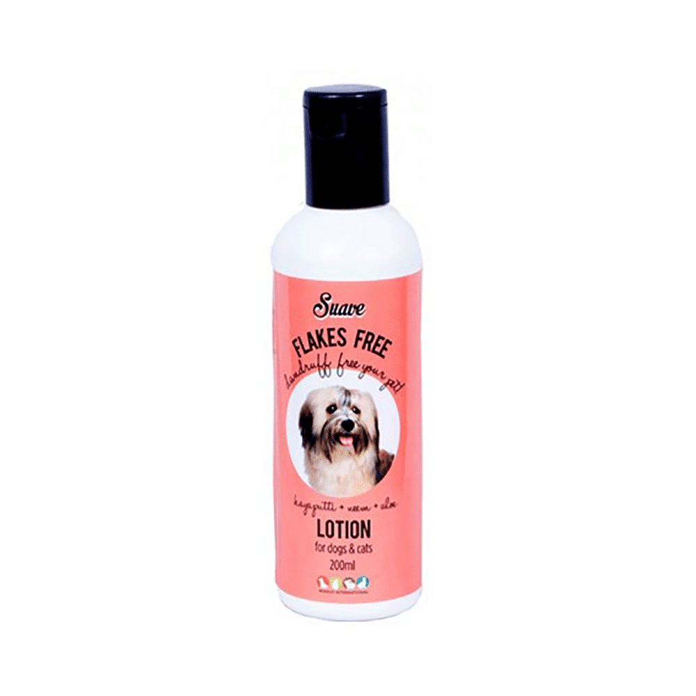 Suave Flakes Free Anti Dandruff Lotion for Dogs Cats 30 Minutes 24 7 Delivery